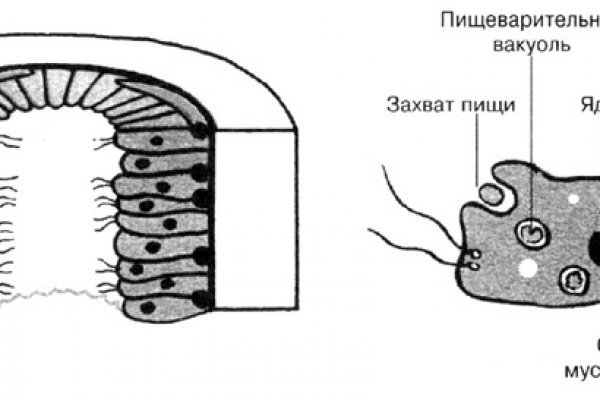 Кракен ссылка призыва нет