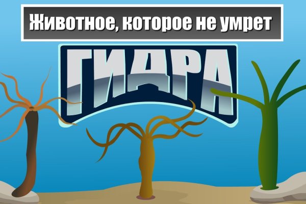 Кракен сайт вход kraken torion