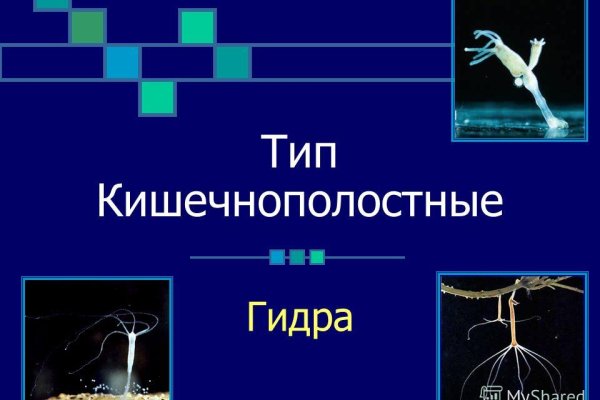 Кракен сайт 18