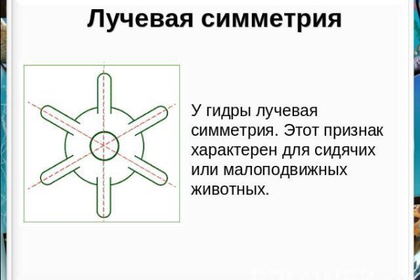 Кракен это что за сайт