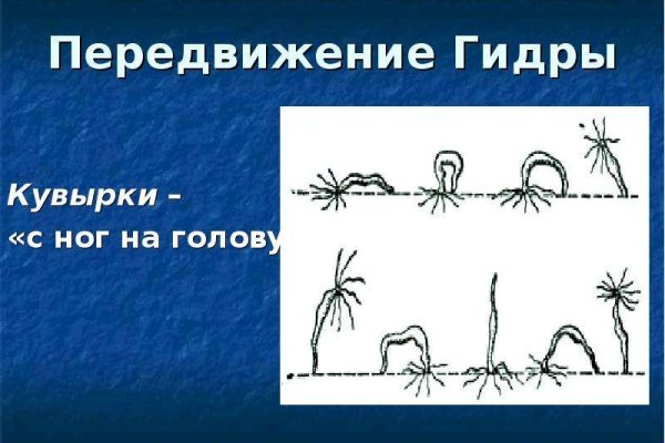 Kraken ссылка на сайт актуальная