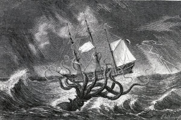 Kraken dark